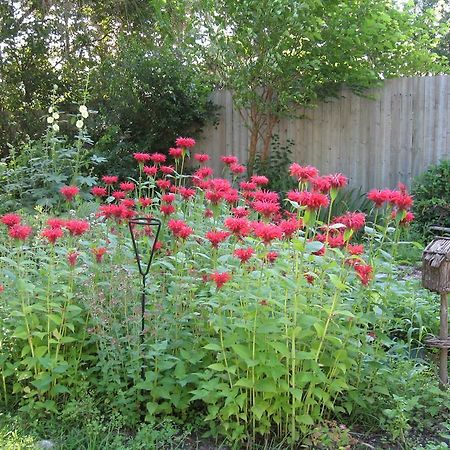 Twin Pines Bed And Breakfast Peterborough Esterno foto