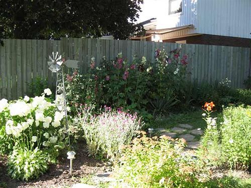 Twin Pines Bed And Breakfast Peterborough Esterno foto